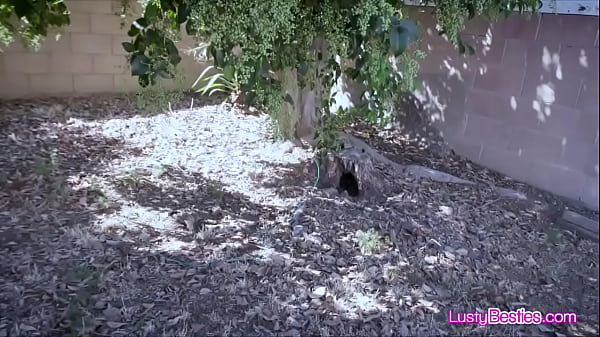 Wild foursome in topsy turvy land