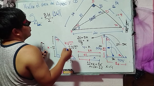 12 Trigonometry: Triangle Area and Notable Angles