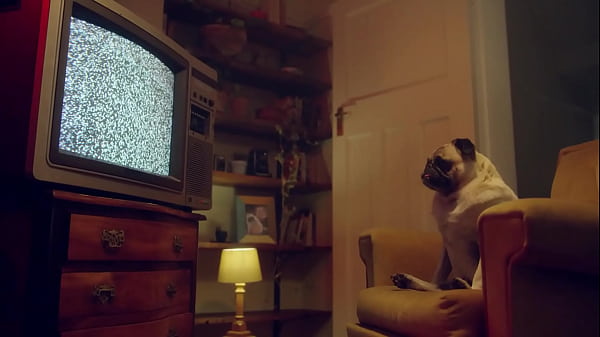 BENEFIT MONKEY: Eden Ivy sucks my cock and makes me horny with her blue eyes