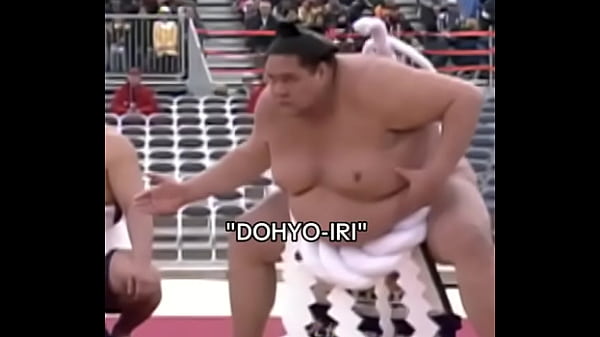 Gay sumo